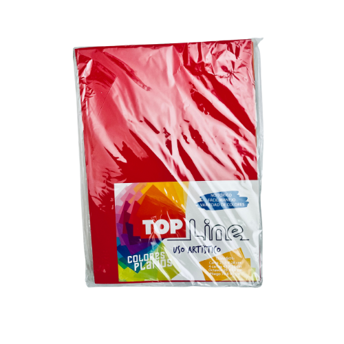 Foamy Octavo x 10 Un. Colores Surtidos-Top Line - Imagen 2